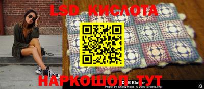 PSILOCYBIN Краснознаменск