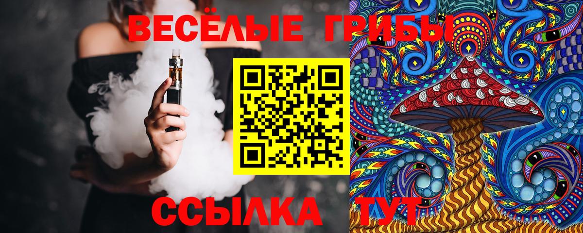 Когалым  цена   Вход с VPN  Псилоцибиновые грибы Cubensis 